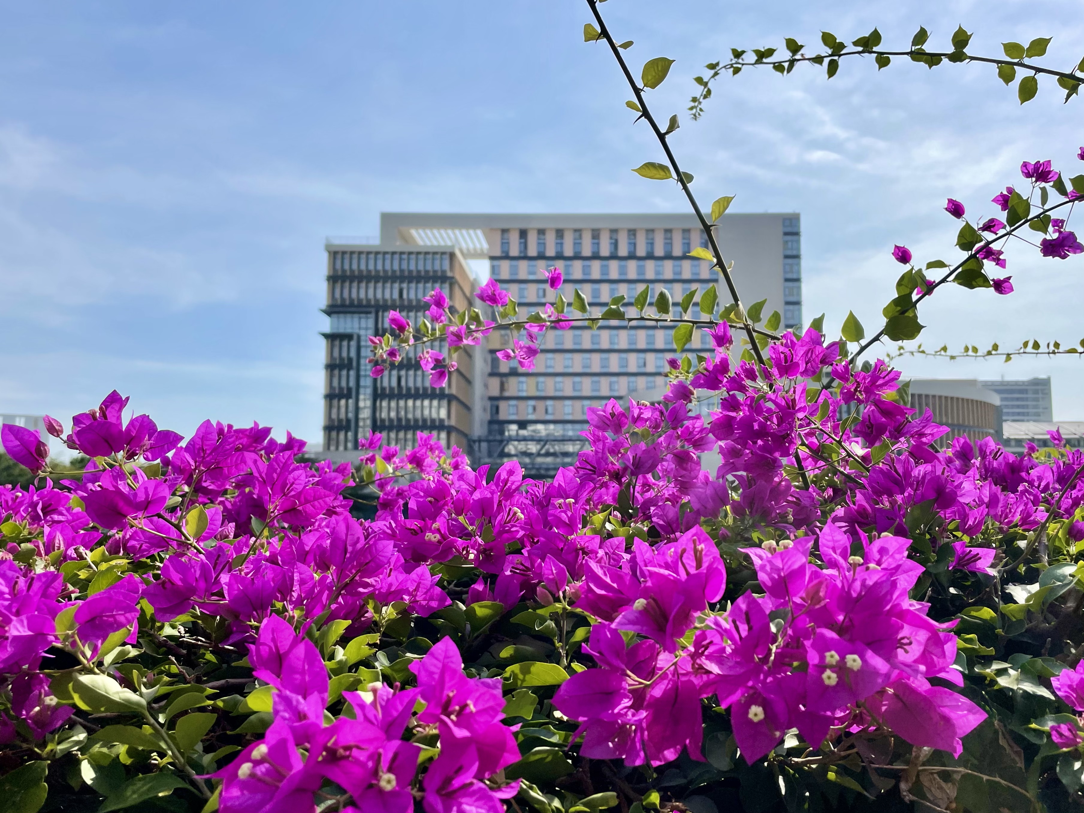 9428cn太阳集团古天乐